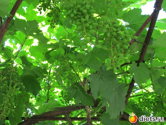 1 ����: ���-������