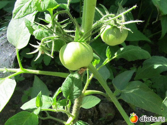 3 ����: ���-������