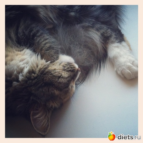 1 ����: ������������