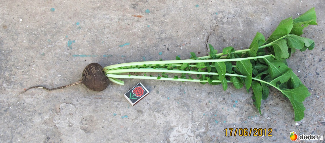 5 ����: ���-������