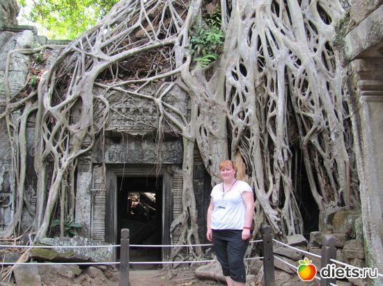 ��� 2012(-11��), ������: � ��������...