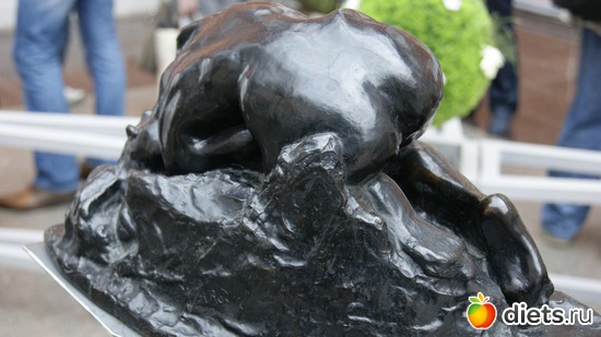 9 ����: �����