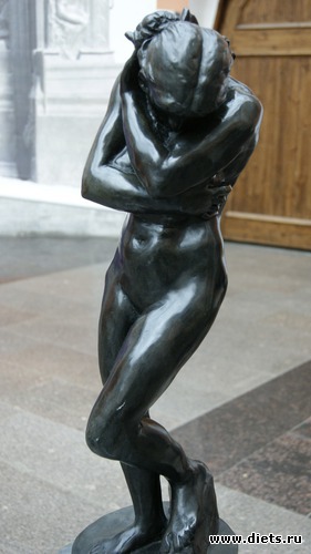 11 ����: �����