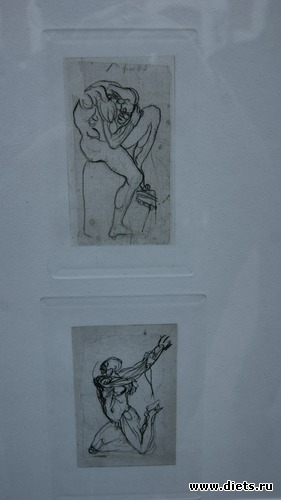 16 ����: �����