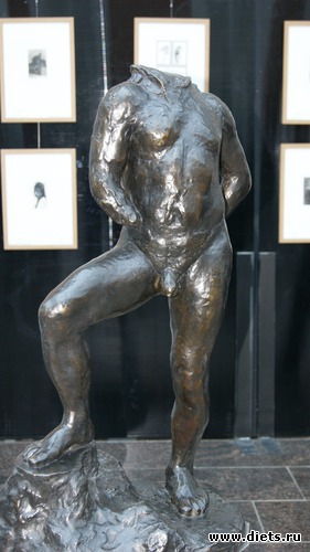 17 ����: �����