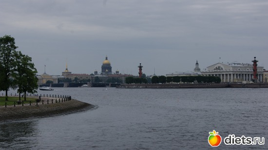 29 ����: �����