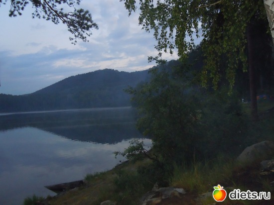 1 ����: �������