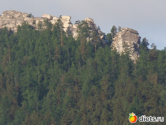 3 ����: �������