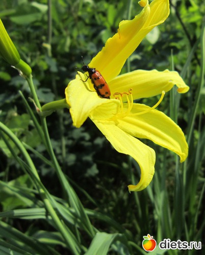 3 ����: ����