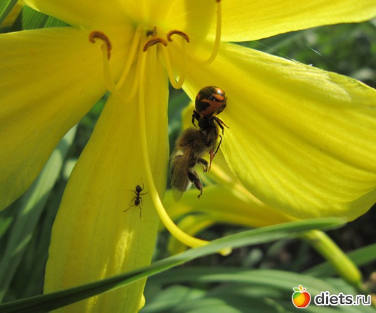 4 ����: ����