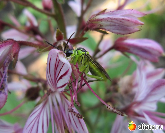 6 ����: ����