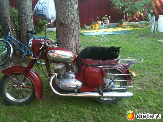 ��� ���, ������: ������