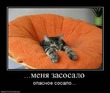 Сегодня до 18.00