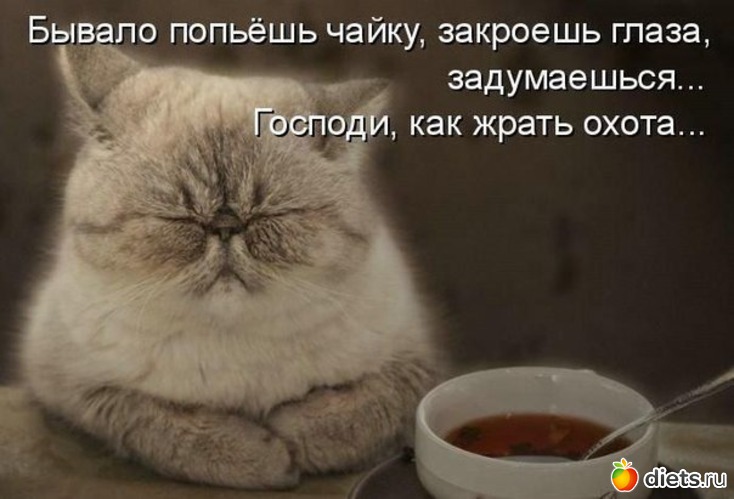 1 фото: На злобу дня :)