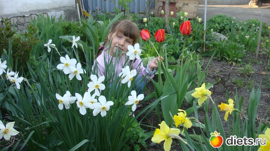 �������� � ������., ������: ��� ���