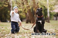 День кинолога