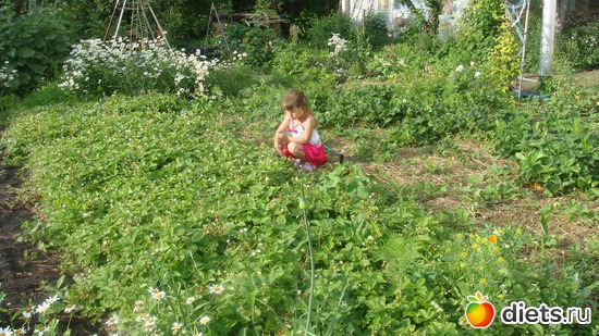 ����� �� ����������� ������., ������: ��� ���