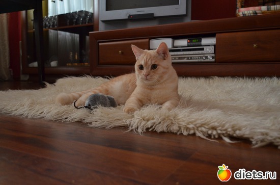 �����!, ������: �����