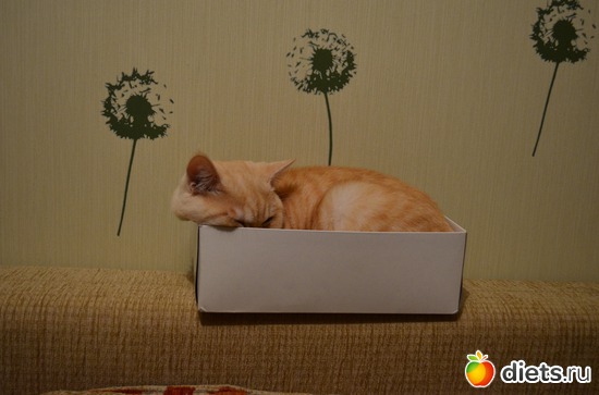 ������� ���������!, ������: �����