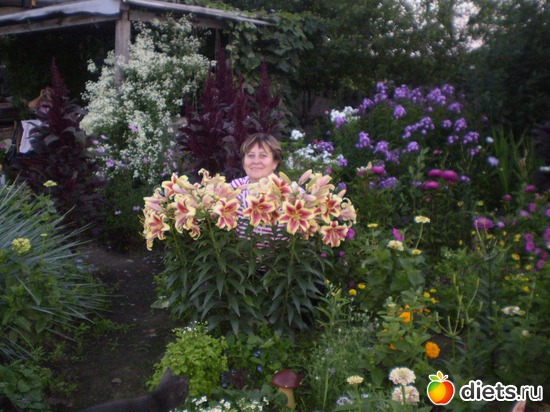 1 ����: ������ ������!