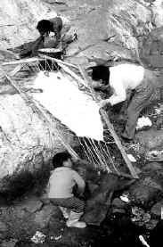 Гренландия