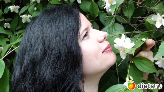 5 ����: ������ ����