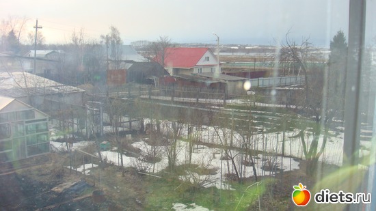 ��� �� ����, 14.04.2012 �, ������: ��� ���