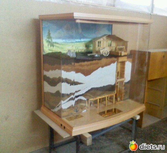 46 ����: ������ ����.