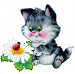 Вау, какой сюрприз!