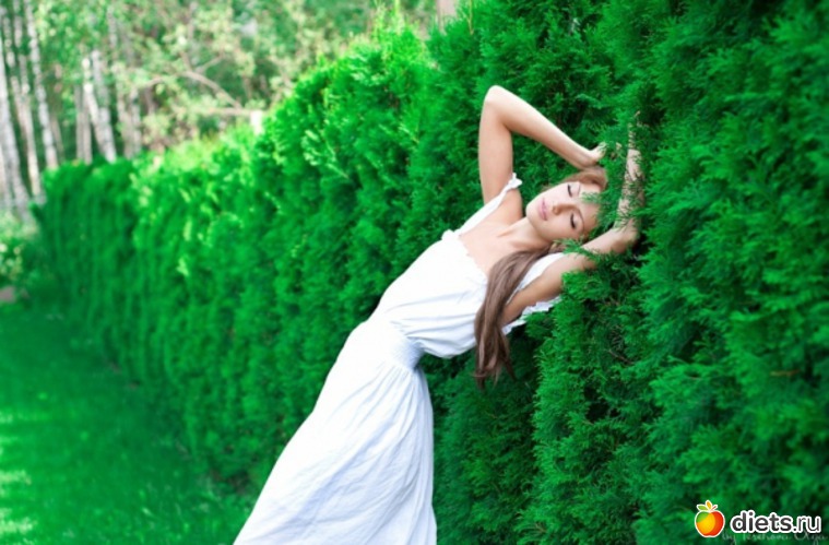 2 ����: ������