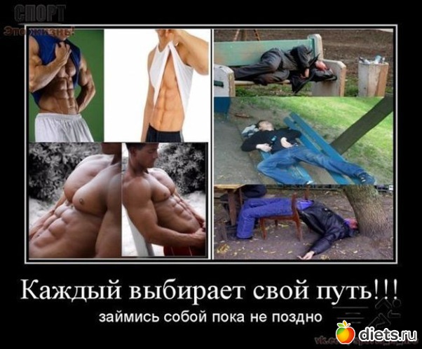 32 ����: ����������