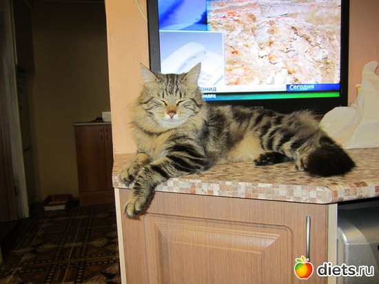 4 фото: Мой Маркизка