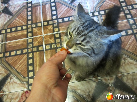 7 фото: Мой Маркизка