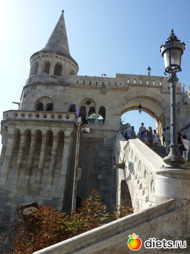 2 ����: ��������