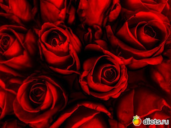 1 ����: ������� �����. �������