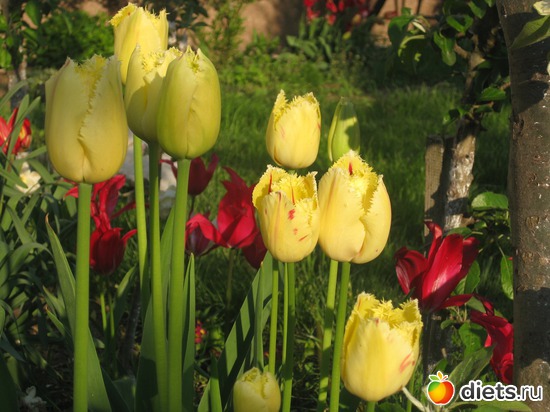 7 ����: ��� � ���������