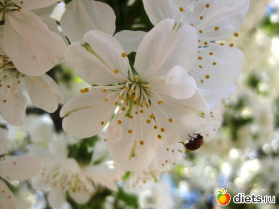 9 ����: ��� � ���������