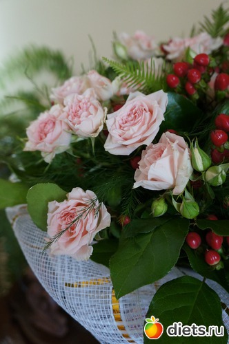 23.06..2012 ����� �� ����, ������: ��� ��� ����