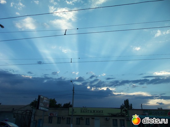 25 : . .   2012.  2012