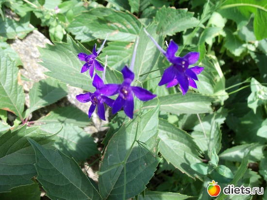 27 : . .   2012.  2012