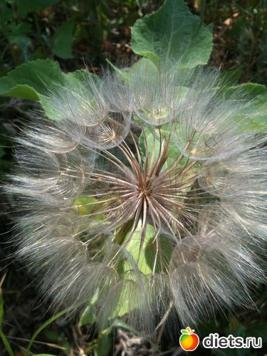 , : . .   2012.  2012