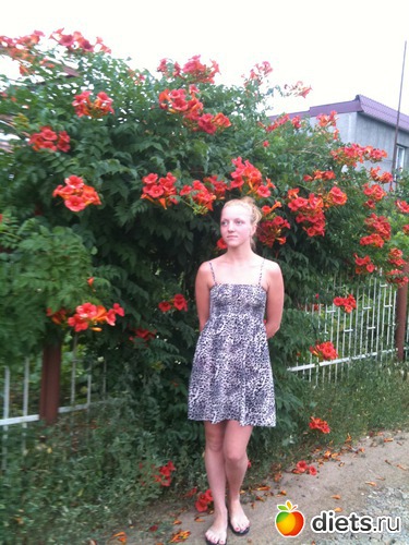 19 : . .   2012.  2012