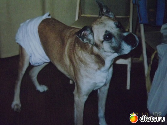 10 ����: ��� ��������