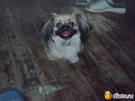 11 ����: ��� ��������