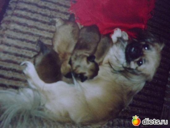 12 ����: ��� ��������