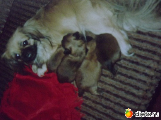 13 ����: ��� ��������