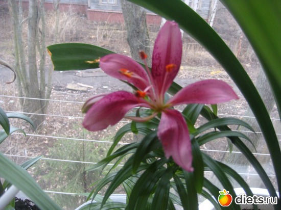 6 ����: �����