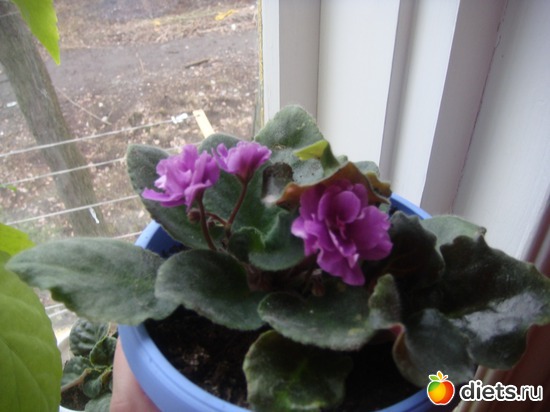 7 ����: �����