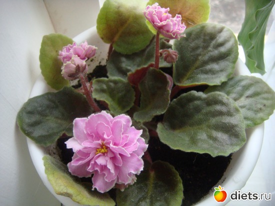 9 ����: �����