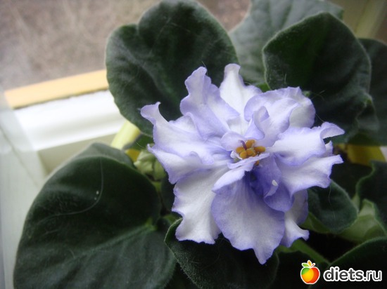 10 ����: �����